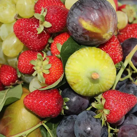 Piazza Tasso Relais Sorrento